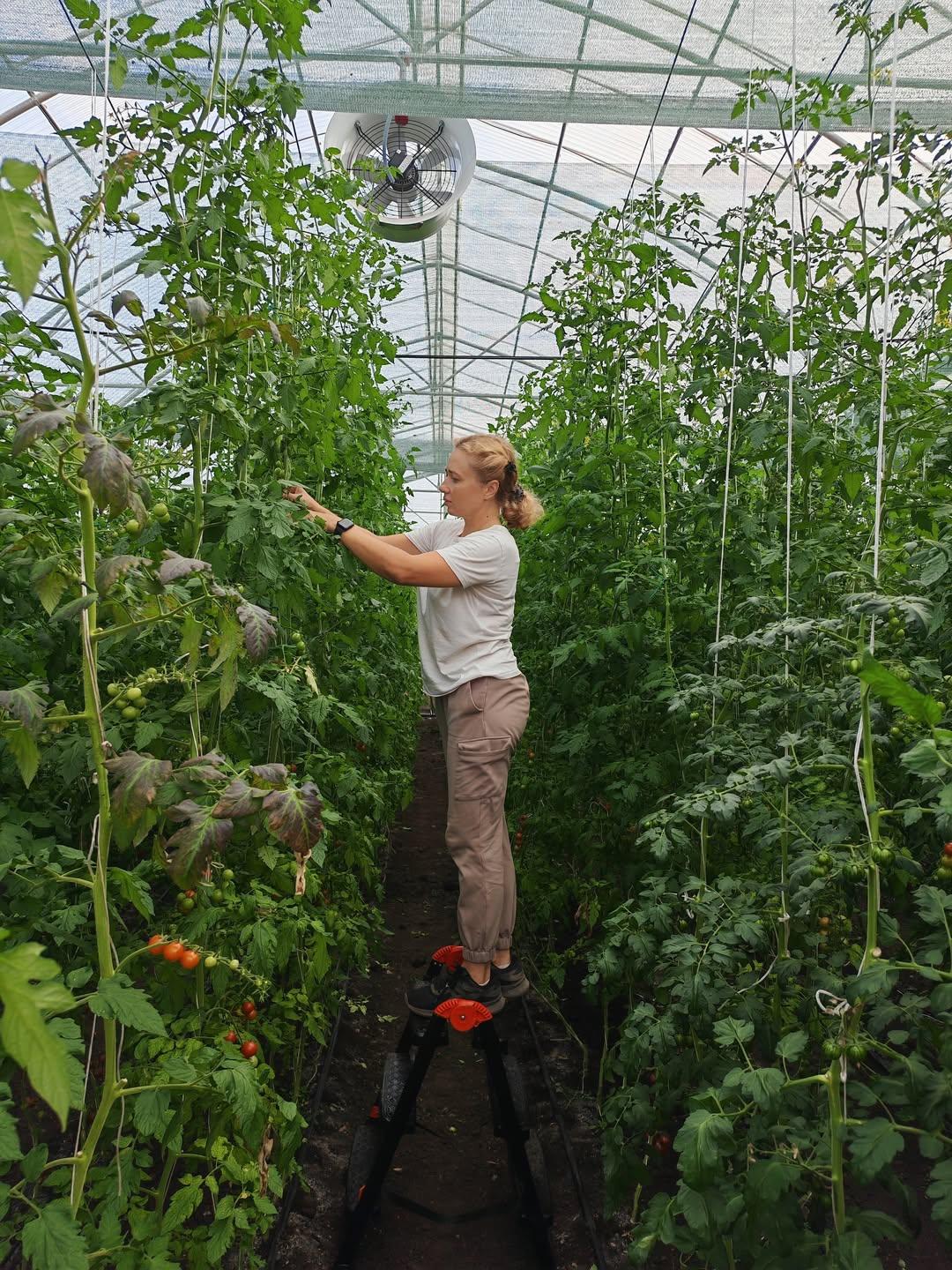 REGENERATIVE GREENHOUSES