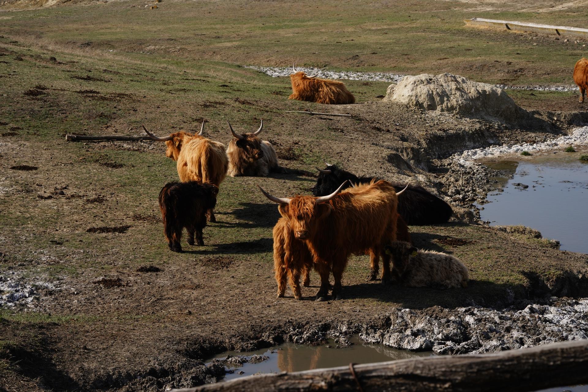 FERTILIZING THE LAND