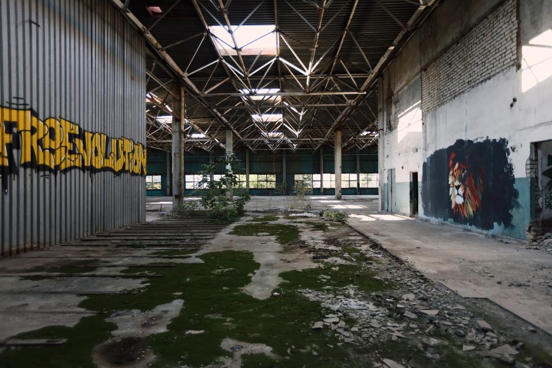 (3)